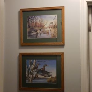 2 framed Duck pictures